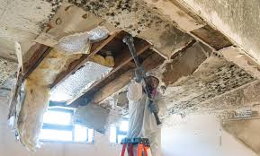 Best Industrial Mold Remediation  in Alondra Park, CA